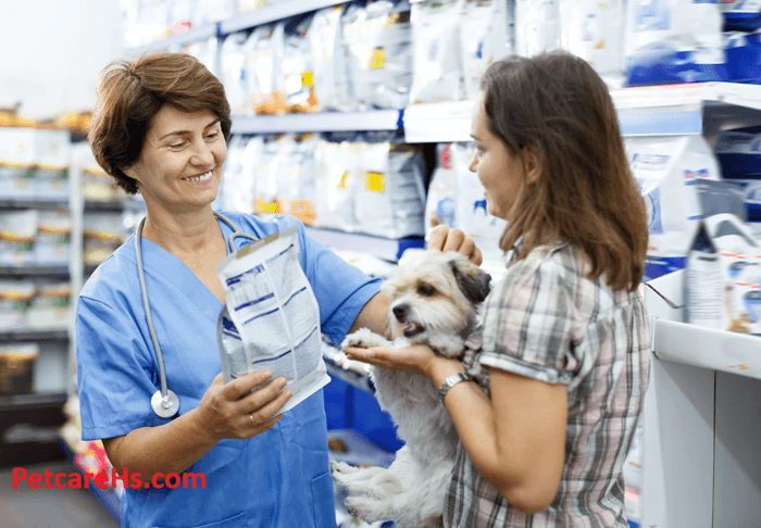 All City Pet Care East, Your Complete Guide to Pet Services