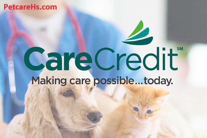 Care Credit for Pets, Everything You Need to Know