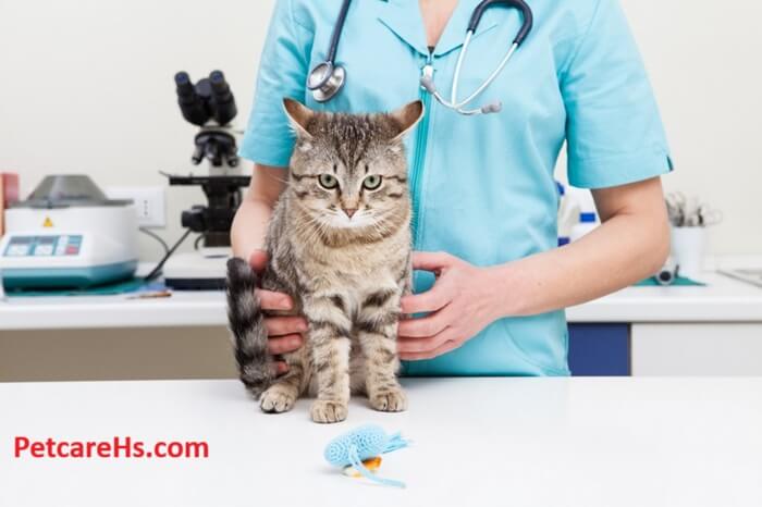 Complete Pet Care Animal Hospital at Falls Pointe