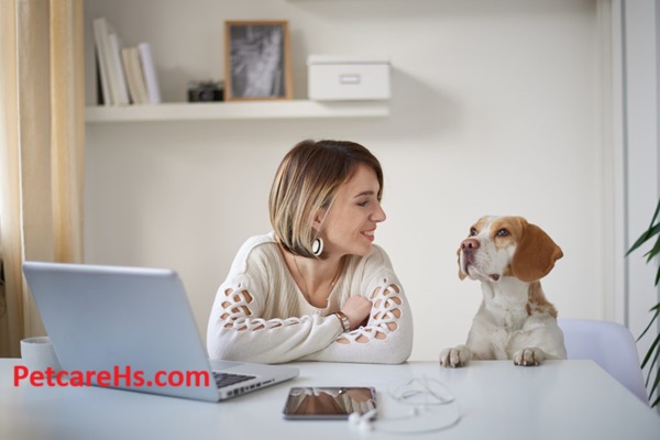 Mental Health for Pets, Tips for a Happy Life