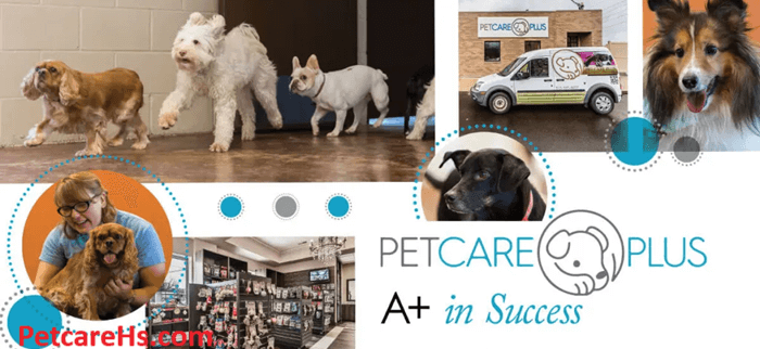 Pet Care Plus, All in Care for Your Pets