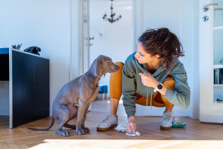 The Troubles of Potty Training