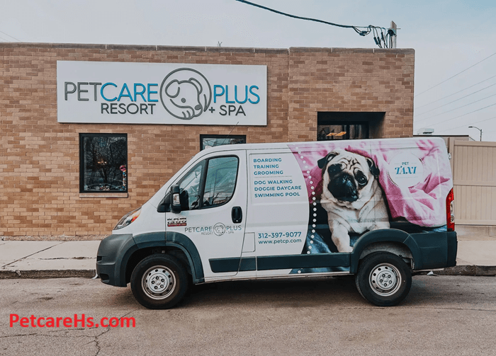 Pet Care Plus, All in Care for Your Pets