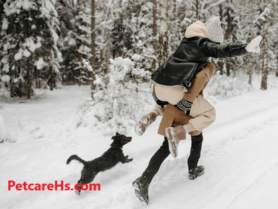 Safe and Fun Winter Activities for You and Your Pet